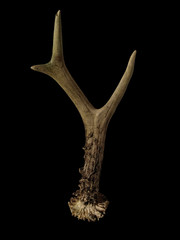 Où le viagra est-il fabriqué ?